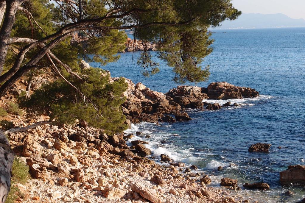 Au Coeur De La Ville Bandol Exterior foto